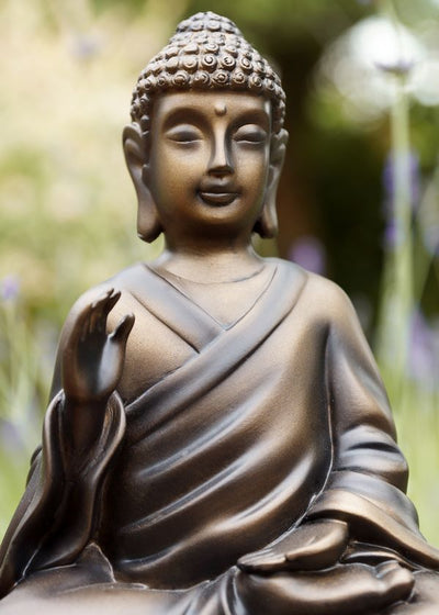 Budizam i statua u prirodi Default Title