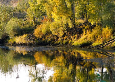 Jesen i reka Sava Default Title