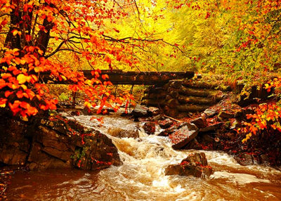 Jesen i reka u planini Default Title