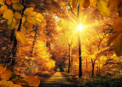 Jesen i sunce jesenje Default Title