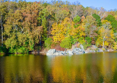 Jesen i zeleno jezero Default Title