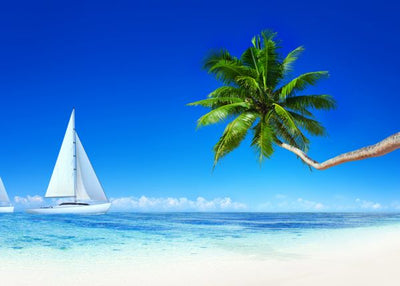 Leto i bele jedrilice Default Title