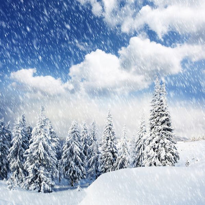 Zima i padanje snega Default Title