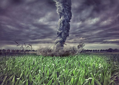 Tornado u polju kukuruza Default Title