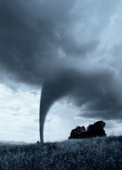 Tornado u prirodi Default Title
