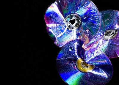 CD diskovi mokri Default Title