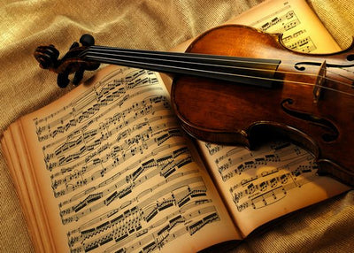 Violine i sveska Default Title