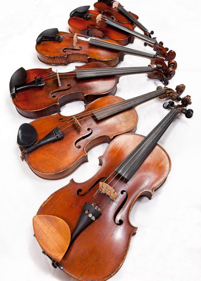 Violine sest violina Default Title
