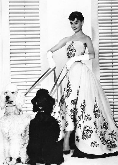 Audrey Hepburn sa psima Default Title
