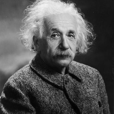 Albert Einstein portret Default Title
