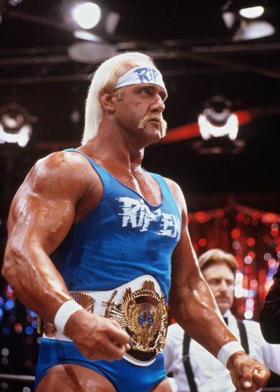 Hulk Hogan pred borbu Default Title