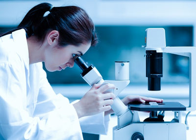 Laboratorije i analiza na mikroskopu Default Title