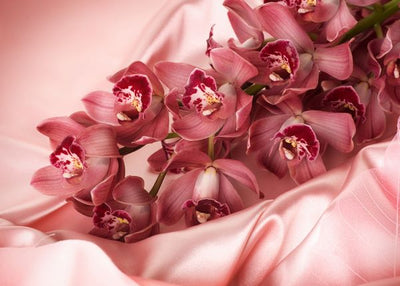 Dan zaljubljenih i roze svila Default Title