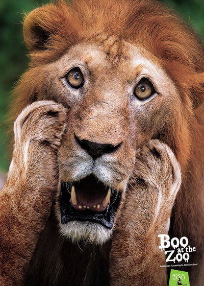 Reklame za zoo vrt lav Default Title
