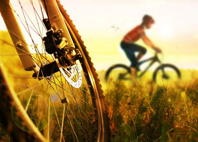Biciklizam fotografije tocak u travi Default Title