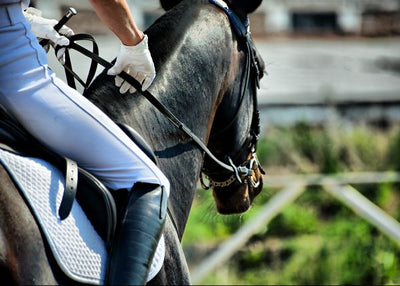 Jahanje izbliza Default Title