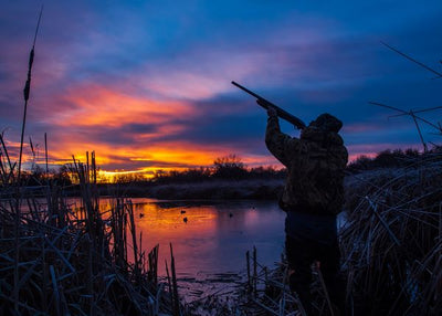 Lov narandzasto i plavo nebo Default Title