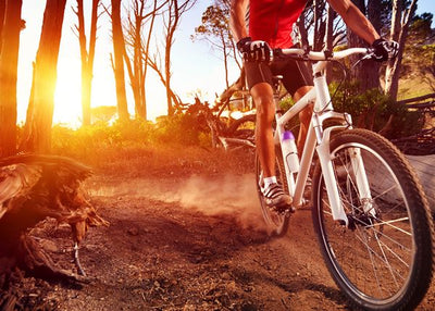 Mountain Biking suncevi zraci u sumi Default Title