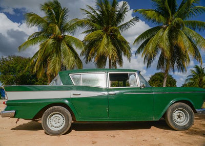 Automobili vintage art zeleni i palme Default Title