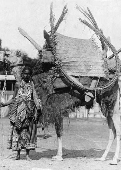 Devojka i kamila Default Title