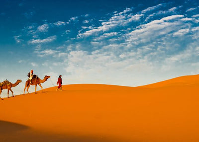 Kamila i nebo i pustinja Default Title