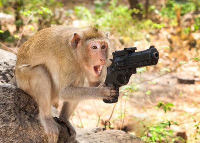 Majmun sa pistoljem Default Title